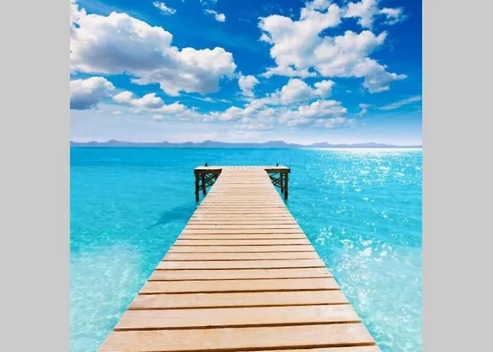 Verano Eterno En Mallorca - Alcudia!
